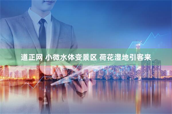 道正网 小微水体变景区 荷花湿地引客来