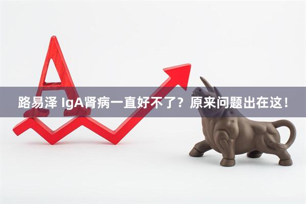 路易泽 IgA肾病一直好不了？原来问题出在这！
