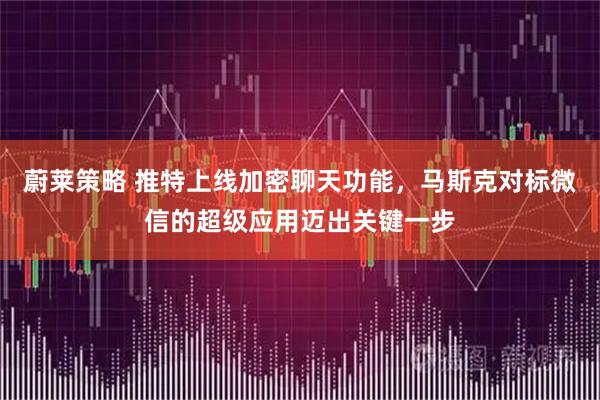 蔚莱策略 推特上线加密聊天功能，马斯克对标微信的超级应用迈出关键一步