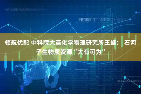 领航优配 中科院大连化学物理研究所王峰： 石河子生物质资源“大有可为”