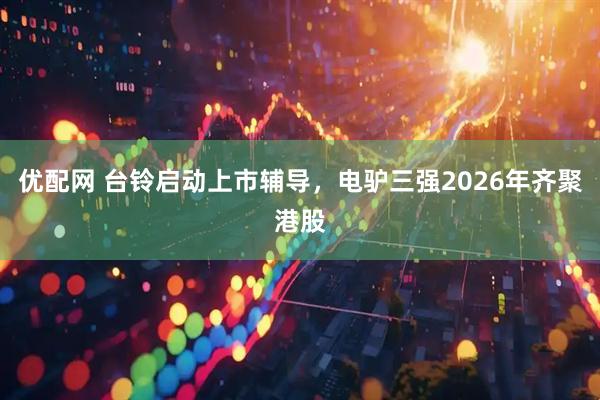 优配网 台铃启动上市辅导，电驴三强2026年齐聚港股